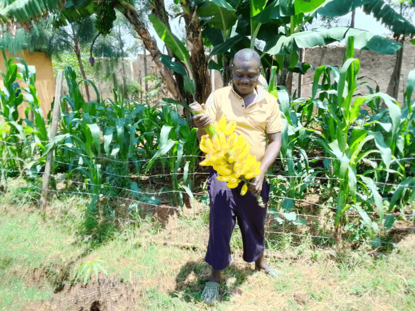 Food Security