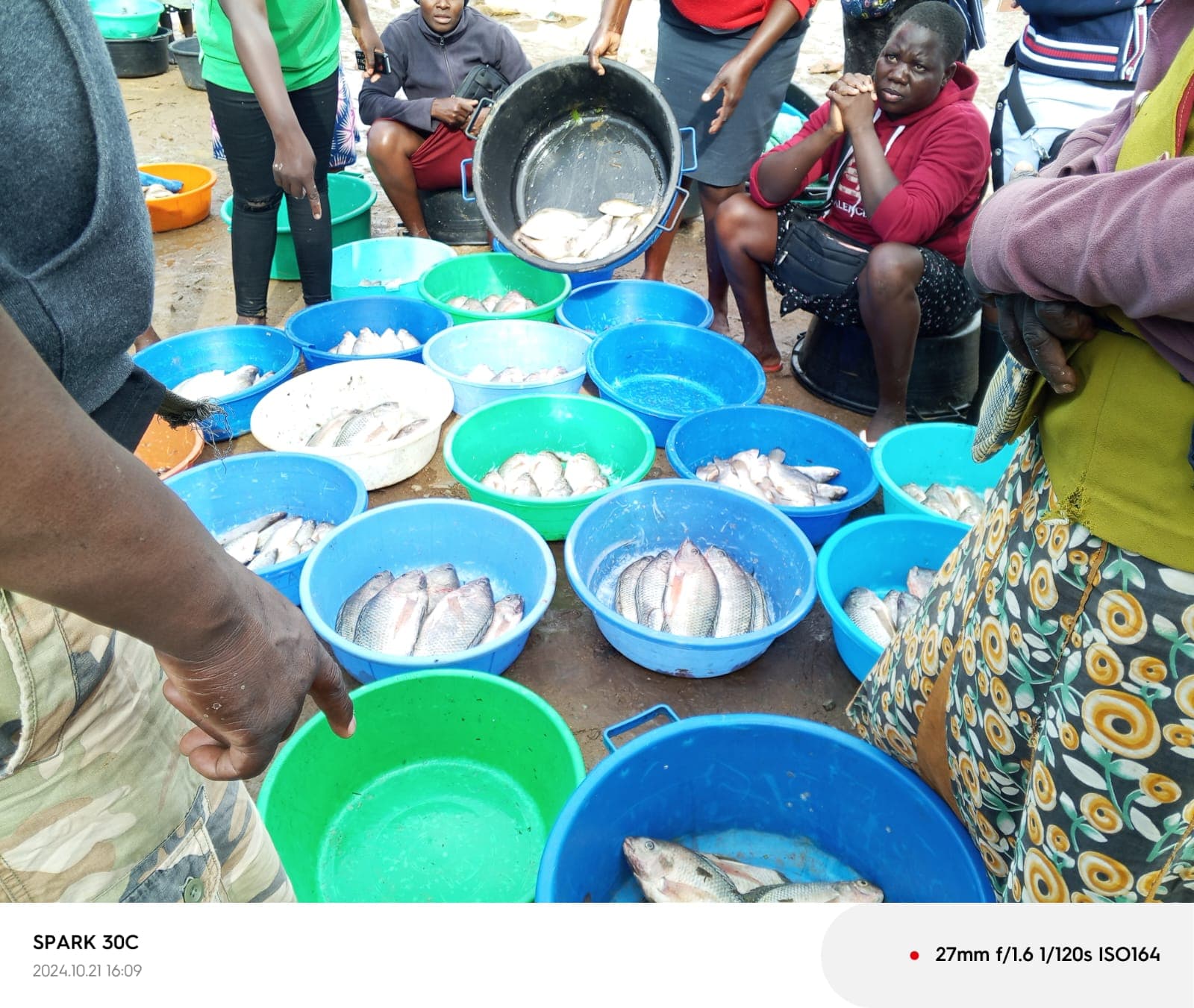 Community Empowerment